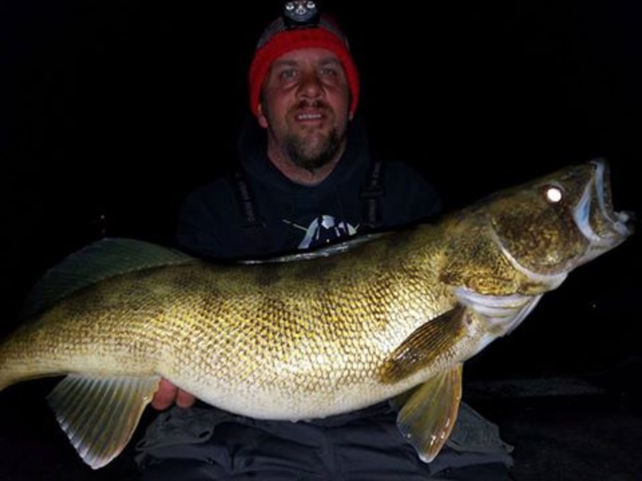 AMERICAN WALLEYE FISHERMAN