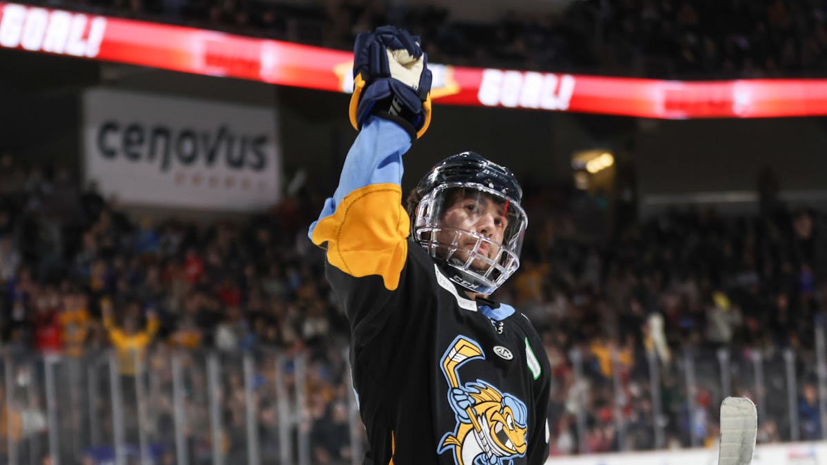 Walleye score goals, meet milestones in 9-1 win