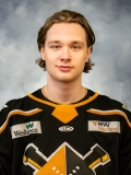 Raivis Ansons