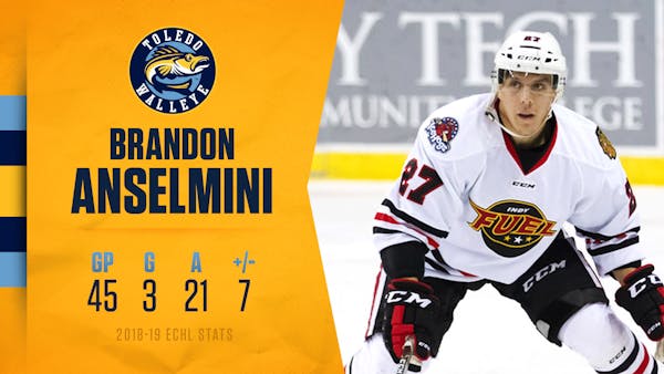 Fish ink former Indy & K-Zoo defenseman Anselmini
