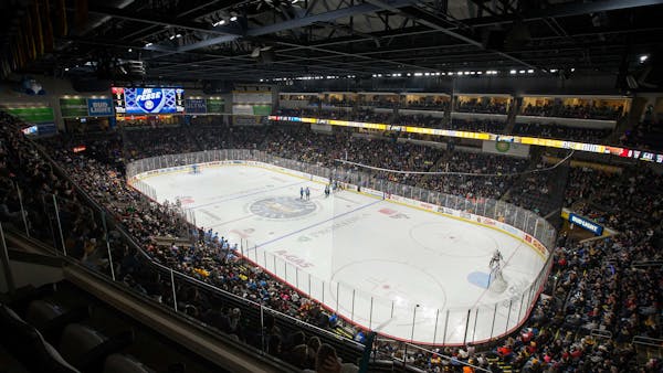 Walleye issue statement regarding Wednesday's game