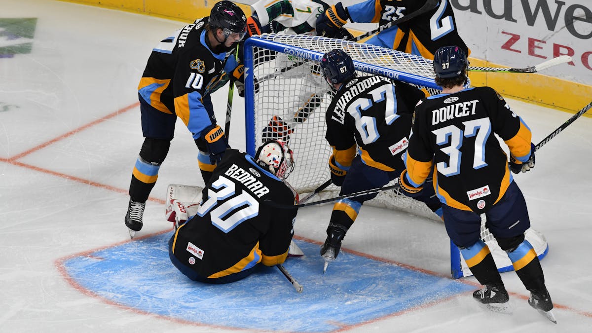 Bednar stands tall as Fish shutout Swamp Rabbits