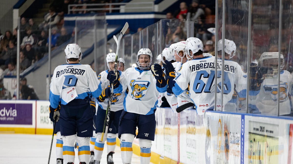 Walleye grab first point in overtime loss to Wings
