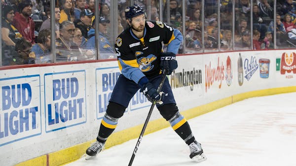 Walleye tame Beast with nine-goal explosion