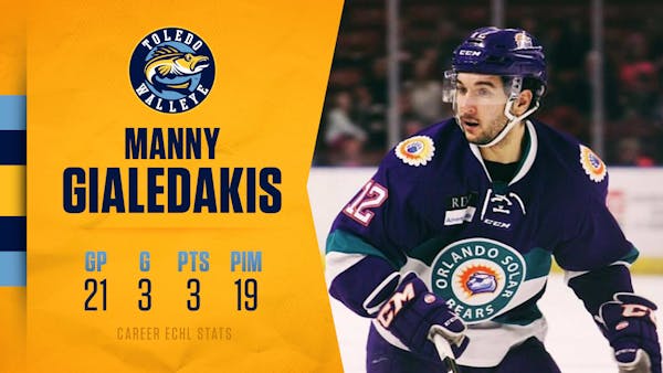 Walleye sign former Admirals and Solar Bears forward
