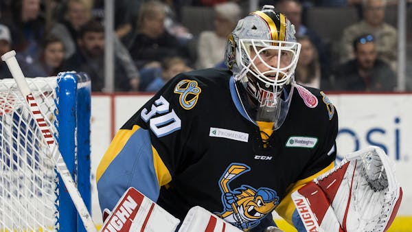 WALLEYE WEEKLY UPDATE: Fish remain undefeated