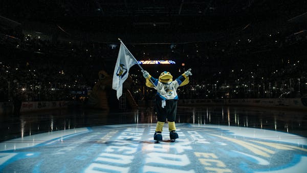 Check out the 2019-20 Toledo Walleye schedule