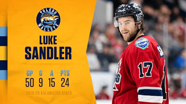 Physical forward Luke Sandler signs with Toledo