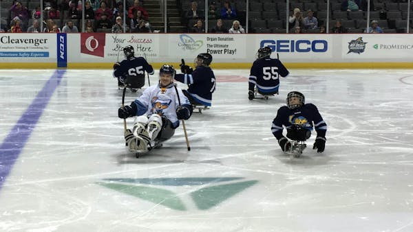 Watch the Walleye play sled hockey: Tuesday, November 19