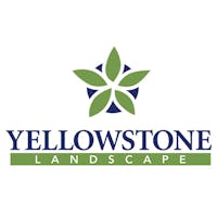 Yellowstone Landscape